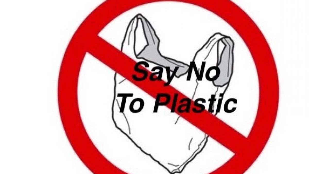 Minister bans use of plastic ‘in and around’ ASI monuments